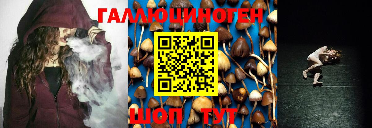 купить  сайты  Галлюциногенные грибы Magic Shrooms  Вход с VPN  Ковров 