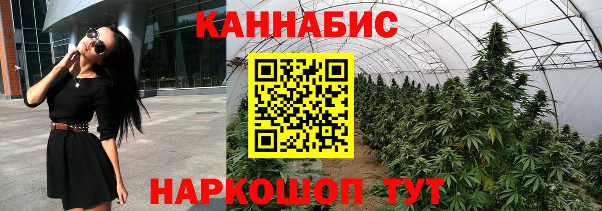 Канабис ГИДРОПОН Ковров